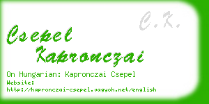 csepel kapronczai business card